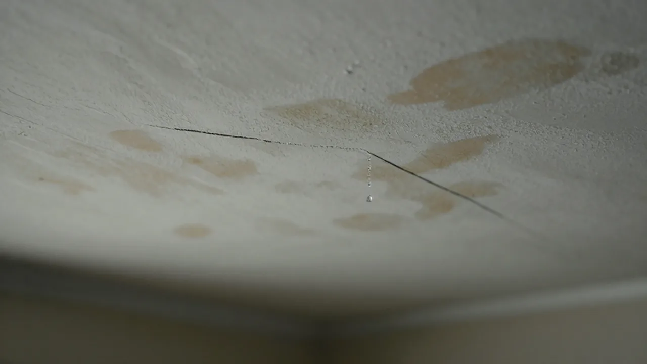 Techo de yeso con pintura descascarada y manchas de humedad con una gota de agua cayendo.